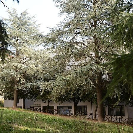 欧罗巴住宿加早餐旅馆 波坦察 外观 照片